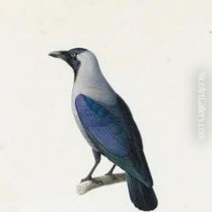 An Exotic Crow