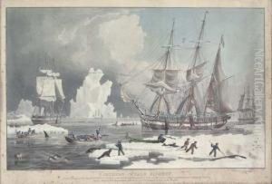 Northern Whale Fishery, By E. Duncan