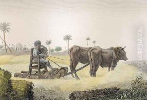 Harvesting Corn, from Volume II Arts and Trades of Description of Egypt 1822 by Nicolas Jacques Conte