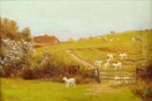 Blackthorn