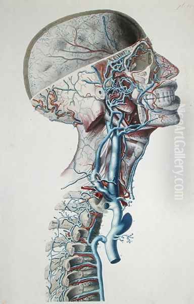 Veins and arteries in the head, plate from 'Recherches Anatomiques, Physiologiques, et Pathologiques sur le System Veineux', 1829 - view 1