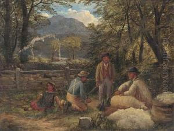 Hillside Sheep Shearing - view 1