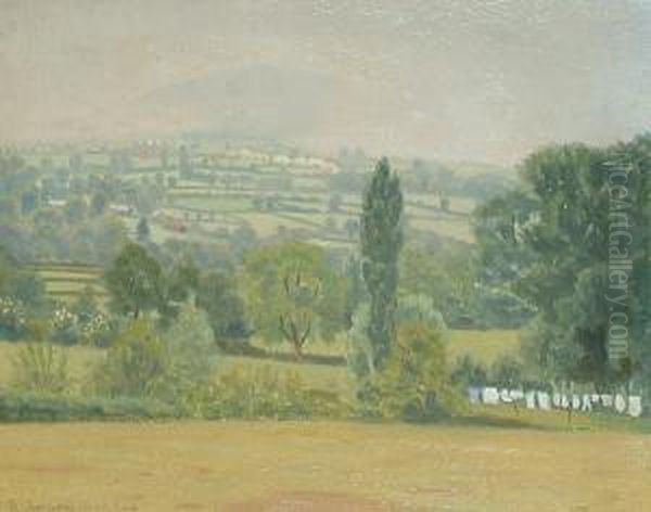 Landscape With Washing Line. - view 1