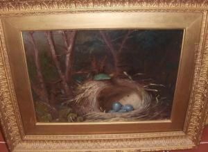 Still Life Of A Bird's Nest In Woodland by William Hughes