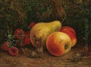 Still Life With Apples, Pears And Strawberries by William Hughes