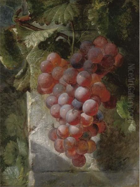 Grapes On The Vine - view 1