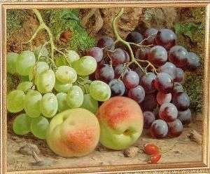 Peaches, Rosehips, Black And Green Grapes Against A Bank Peaches, Rosehips, Black And Green Grapes Against A Bank