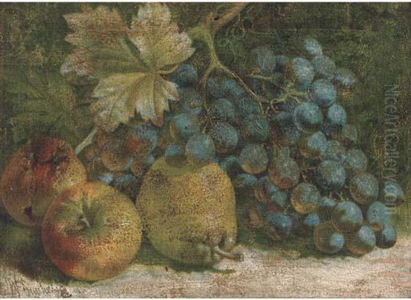 Apples - view 1
