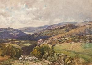 Brithdir Looking Towards Barmouth