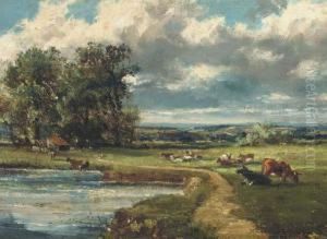 Cattle Grazing By A River Cattle Grazing By A River