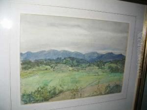 Rice Fields Near Matsue, Japan by Herbert Hughes Stanton
