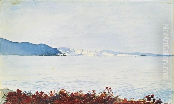Baie De La Mediterranee - view 1