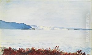 Baie De La Mediterranee by Georges-Victor Hugo