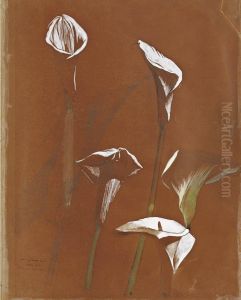 Les Arums