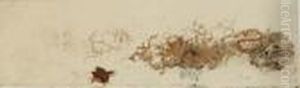 Empreinte De Dentelle
