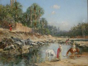 Desert Oasis