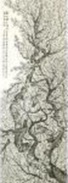 Plum Blossom - view 1
