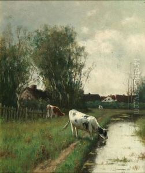 Cattle By A River With Cottages Beyond - view 1