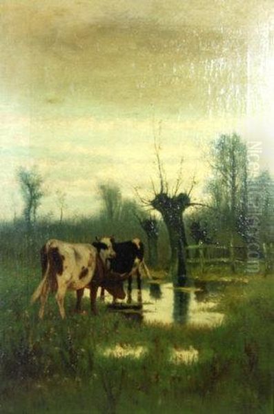 Cattle Grazing In A Water Meadow - view 1