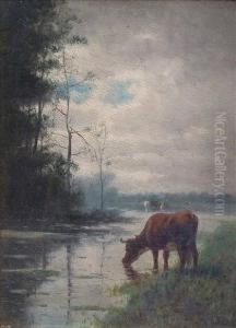 Cattlewatering