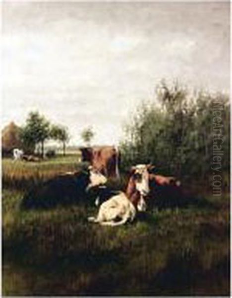 Cattle Resting In A Meadow - view 1