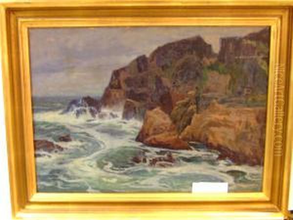 "pa Klippig Kust", Motiv Fran Kullen. - view 1