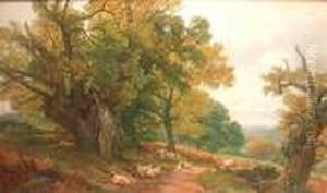 A Surrey Landscape A Surrey Landscape