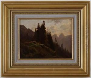 Charles Humbert , Ormonts, Sapins A La Praiza
