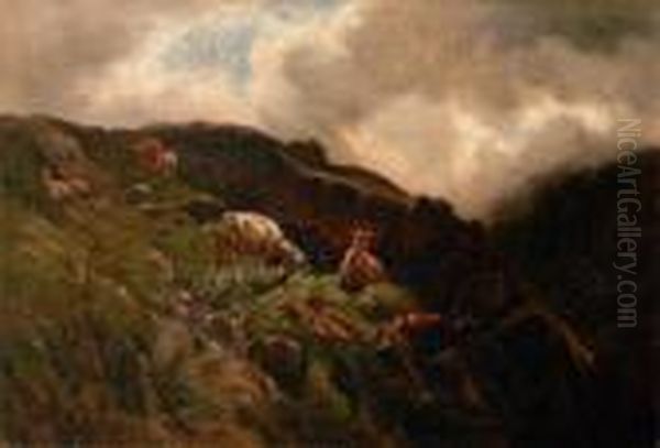 Ziegen In Gebirgslandschaft - view 1