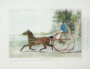 Carrozza