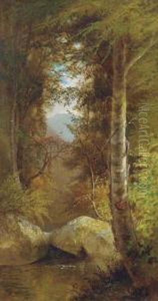 A River Running Through A Forest - view 1