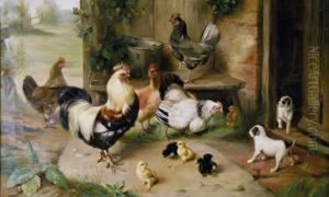 Fechado 96. Gallinero
