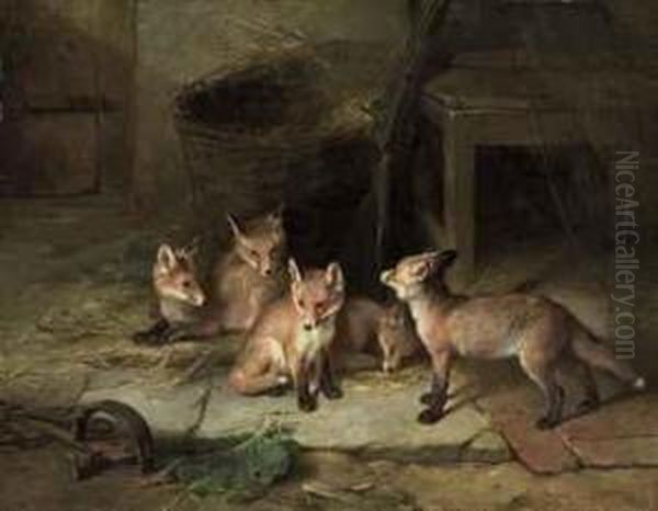 Fox Cubs - view 1