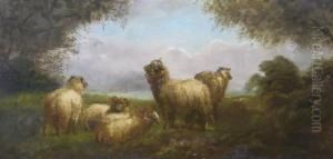 Sheep In A Landscape Sheep In A Landscape