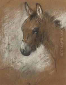 Study Of A Favourite Donkey by Walter Hunt