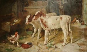 Calves And Poultry In A Stable