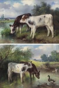Calves Watering by Walter Hunt