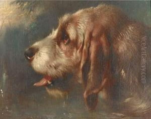 A Head Of A Hound - view 1