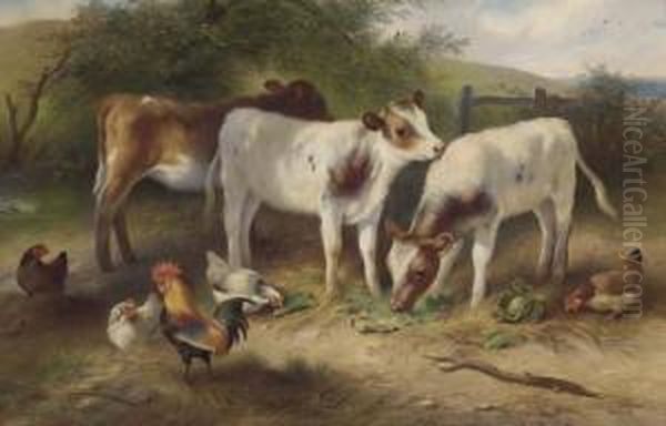 Calves, Chickens And A Cockerel - view 1