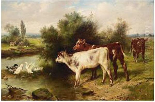 Calves Watering - view 1