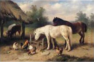 In The Farmyard