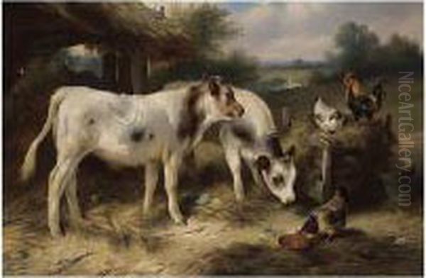 Calves And Hens Feeding - view 1