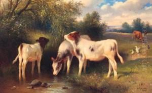 Calves Watering At A Stream by Walter Hunt