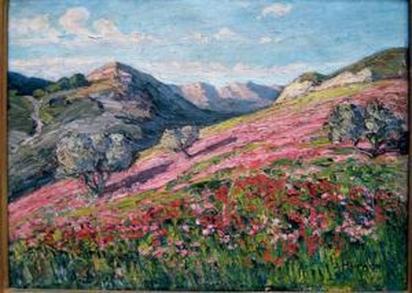 Paysage Montagneux Aux Coquelicots - view 1