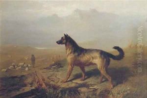 Guarding the flock in the Highlands, Scotland by Conradyn Cunaeus