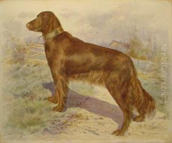 Setter In Landscape - view 1