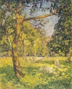 Moutons Dans Le Parc