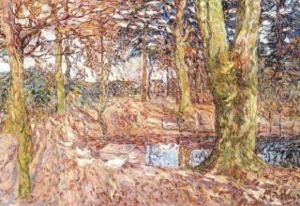 Automne Dans Le Parc De Vijve St Elooi