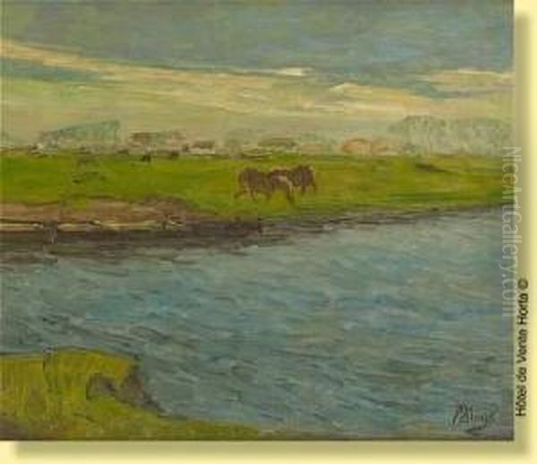 Le Long De La Lys, Zulte - view 1