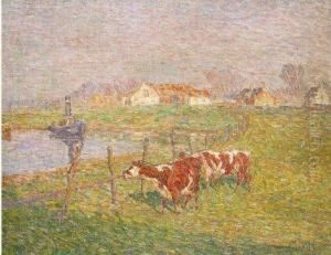 Koeien Langs De Leie